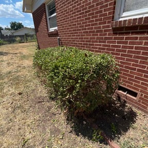 Bush Trimming by Thom's mowing and lawn care reviewed on August 15, 2025