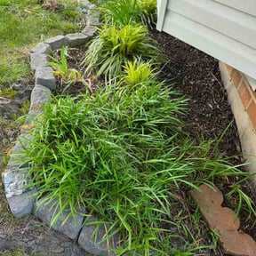 Flower Bed Weeding by Ouachita Landscape reviewed on June 5, 2026