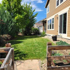 landscaping services by C&amp;G  landscaping reviewed on November 19, 2025