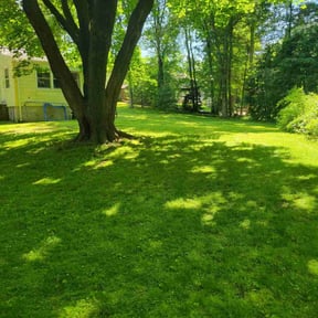 landscaping by Prado&#039;s Lawn &amp; Construction reviewed on November 22, 2025