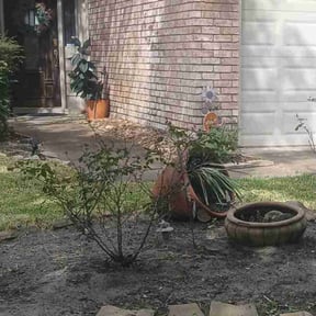 Flower Bed Weeding by Da Image Addict reviewed on November 23, 2025