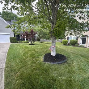 Bush Trimming by Patten Property care LLC reviewed on May 3, 2026