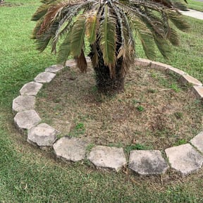 Flower Bed Weeding by Bernal landscaping reviewed on August 18, 2025