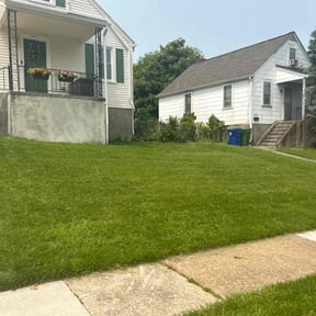 yard service by Capital landscaping reviewed on August 19, 2025