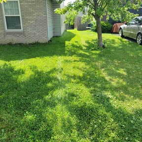 lawn maintenance by Dee reviewed on August 17, 2025