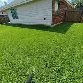 landscaping by Hernandez Landscaping & Designs reviewed on August 15, 2025