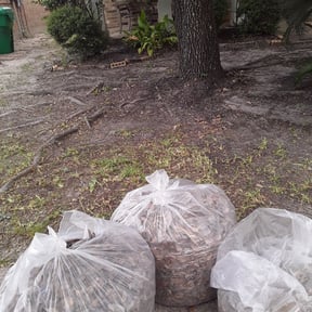 Leaf Removal by Lawn Patrol reviewed on September 25, 2025