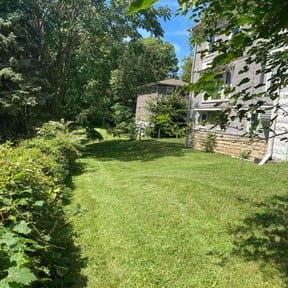 grass cutting by Proper Edge Lawn Care reviewed on July 17, 2025