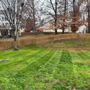 Leaf Removal by MIP reviewed on October 23, 2025