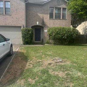 Bush Trimming by My Home Lawn Service reviewed on July 9, 2026