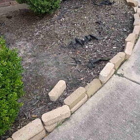 Flower Bed Weeding by Services reviewed on November 24, 2025