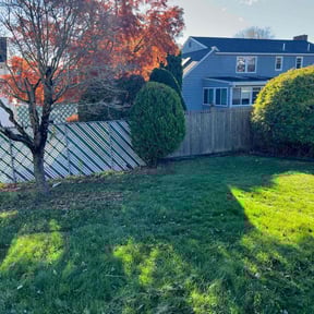 Bush Trimming by Brantnew4U Property Management LLC reviewed on November 18, 2025