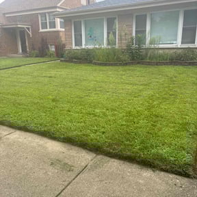 turf care by Code777 reviewed on April 3, 2024