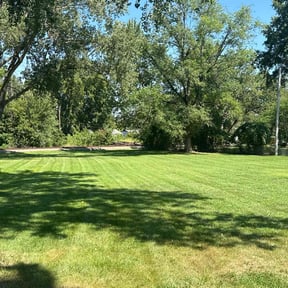 turf maintenance by Mabin Lawn Service reviewed on June 19, 2025