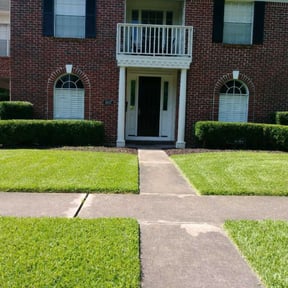 Bush Trimming by Hoffman Welding reviewed on August 21, 2025