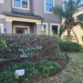 Bush Trimming by Budget Cuts Lawn Care reviewed on August 16, 2025