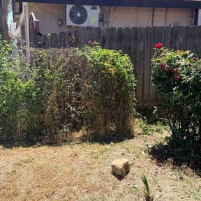 Bush Trimming by Lucash Property Maintenance reviewed on May 17, 2026