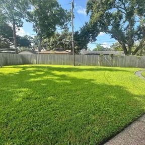 Other by Seura Integrity Lawn reviewed on November 23, 2025