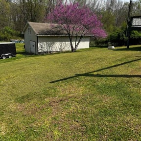 yard maintenance by Affordable Lawncare reviewed on November 25, 2025