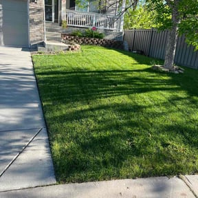 lawn care services by Green Earth Lawn and snow LLC reviewed on August 17, 2025