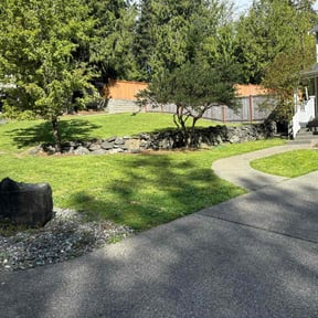 yard care by Better Solutions. reviewed on November 24, 2025