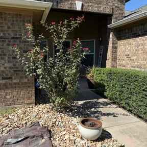 Bush Trimming by Tim&#039;s Discount Lawn reviewed on November 4, 2025