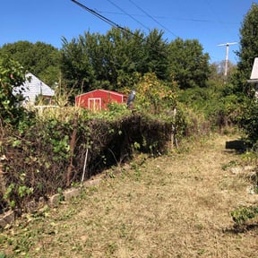 Bush Trimming by BLC3 LLC / Turf Guys reviewed on October 23, 2023