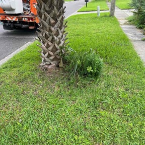 Bush Trimming by Jerome Lawn Pros reviewed on August 14, 2024
