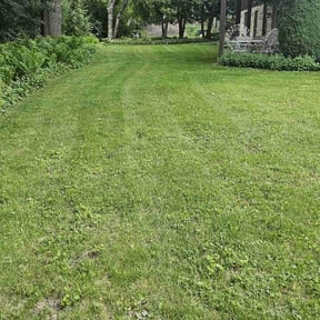 residential landscaping by Finns landscaping reviewed on June 17, 2024