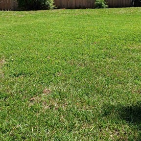 yard care by Fiechtner landscaping reviewed on August 15, 2025