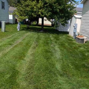 turf care by Plant Your Dreams Design reviewed on August 25, 2020