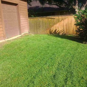Flower Bed Weeding by Adrian landscaping reviewed on June 12, 2026