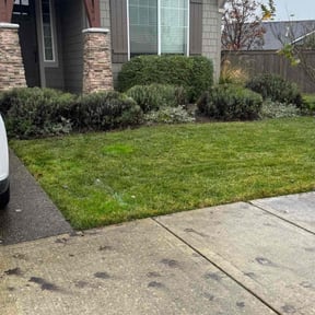 Bush Trimming by Goerke's Lawn Care reviewed on November 24, 2025