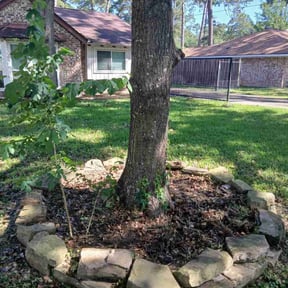 Flower Bed Weeding by J&D Lawn Care Services & More LLC reviewed on August 18, 2025
