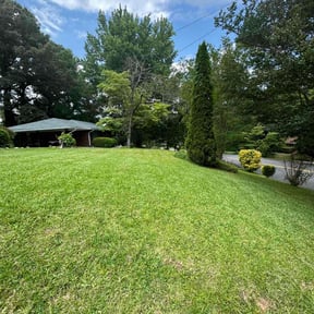 yard care by Letusmow llc reviewed on July 22, 2023