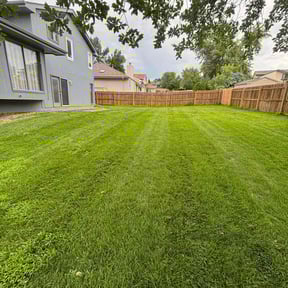 turf care by Gary Evans Lawn and Tree Service reviewed on August 26, 2021