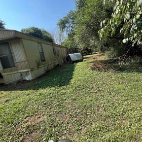 Bush Trimming by 281 Handyman &amp; Lawn Care reviewed on October 22, 2025