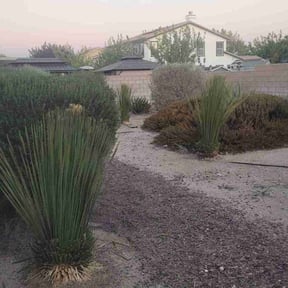 Bush Trimming by R&amp;T H Home Services LLC reviewed on August 16, 2025