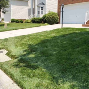 Lawn Mowing by St Pete Land and Lawn reviewed on August 15, 2025