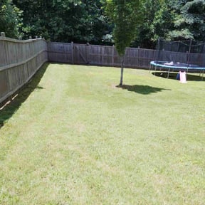 lawn care services by Top Turf L.L.C reviewed on May 19, 2022