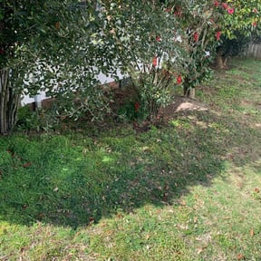 Leaf Removal by BG landscaping reviewed on September 14, 2025