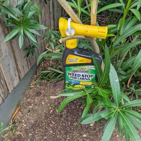 Leaf Removal by Green Tech Integrated Services Inc. reviewed on July 22, 2026