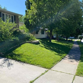 yard service by Drew's Cuts reviewed on August 18, 2025