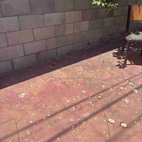 Leaf Removal by We the best landscaping reviewed on September 14, 2026