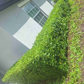 Bush Trimming by Ken&#039;s Lawn reviewed on October 18, 2025