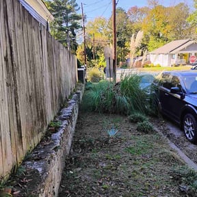 Leaf Removal by John Mirabal reviewed on October 3, 2025