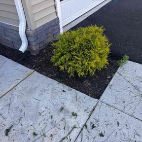 Flower Bed Weeding by Weeds and Things lawncare reviewed on May 31, 2026