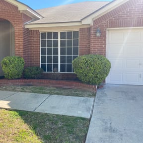 Bush Trimming by DNA Outdoor Services reviewed on August 15, 2025