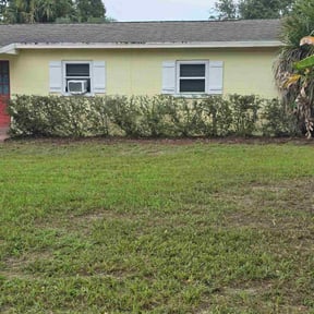 Bush Trimming by Veterans lawn services reviewed on November 24, 2025