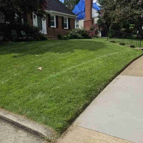 landscaping by Whites property maintenance  reviewed on November 18, 2025